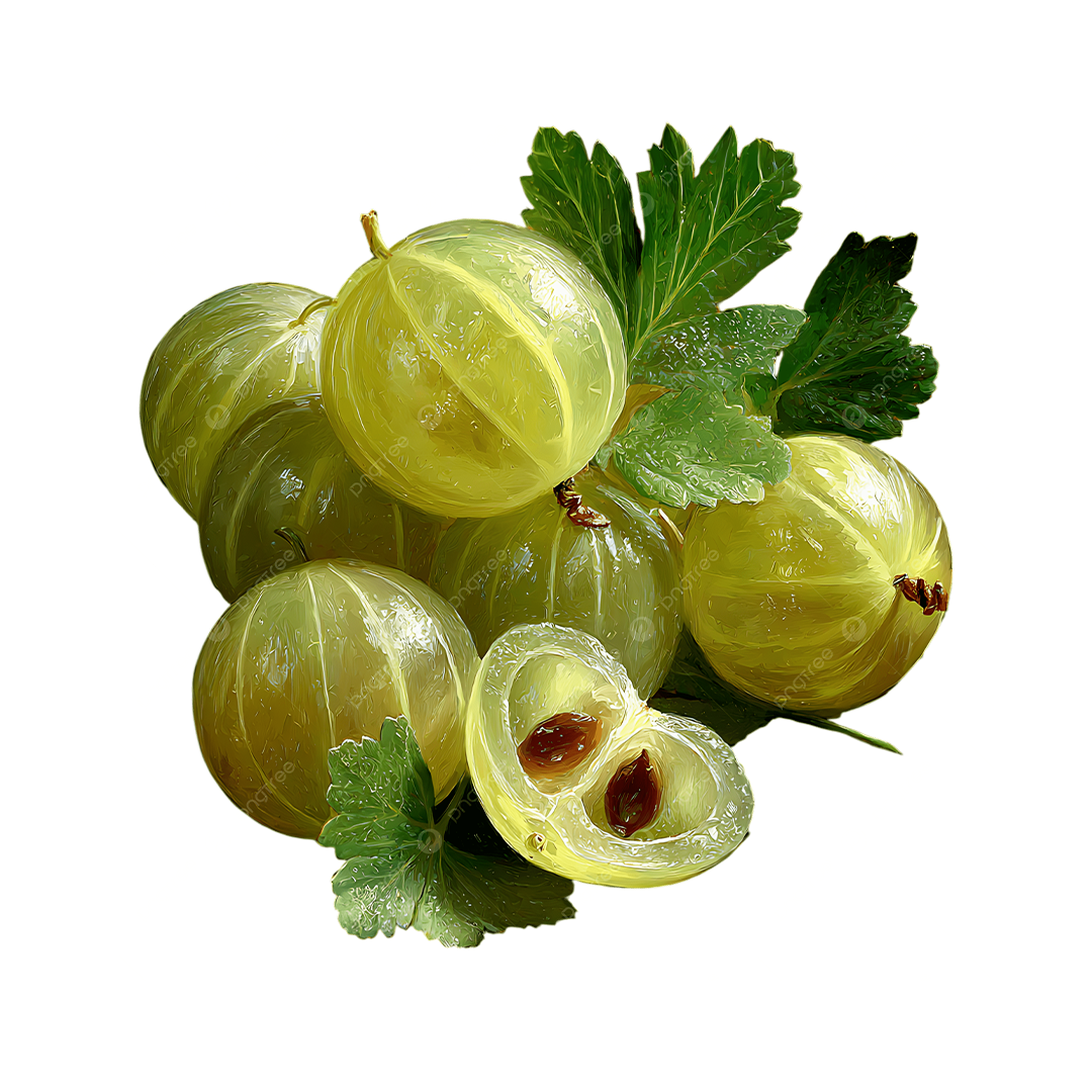 Bektaşi Üzümü